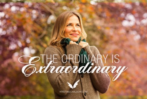 The Ordinary is Extraordinary blog