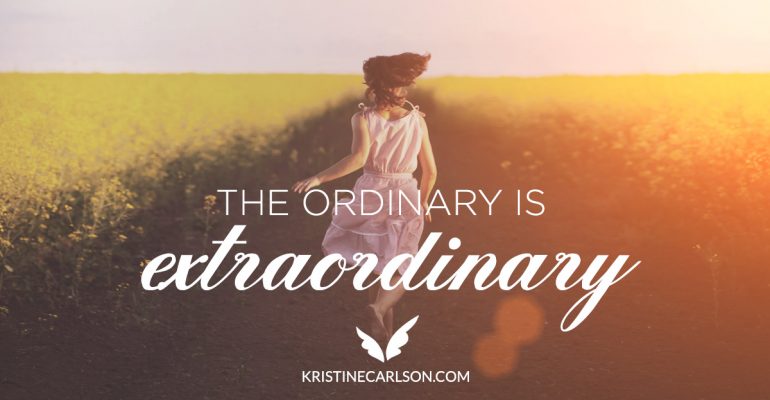 the ordinary is extraordinary blog