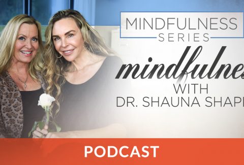 Mindfulness with Dr. Shapiro Podcast