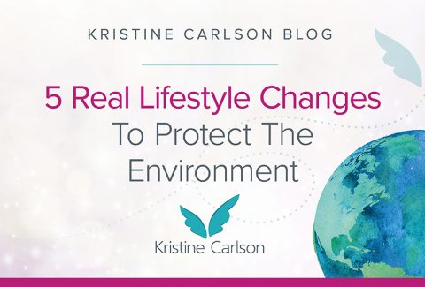 Lifestyle Changes To Protect The Environment Blog